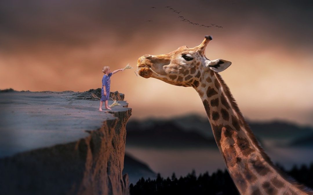 Žirafa a dítěZdroj: