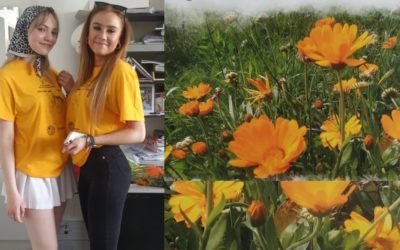 Český den proti rakovině. „Kytičkové dny“