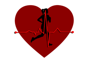 Srdce, běh, EKG
