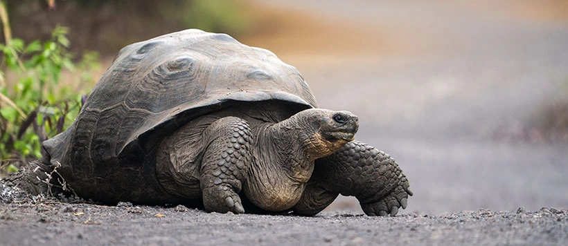 Ekvádor - Galapágy - Svět kolem nás